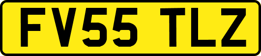 FV55TLZ