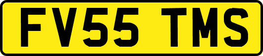 FV55TMS