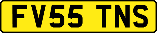 FV55TNS