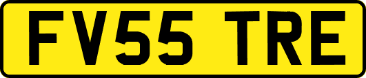 FV55TRE