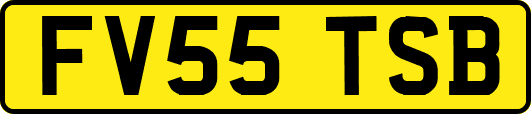 FV55TSB