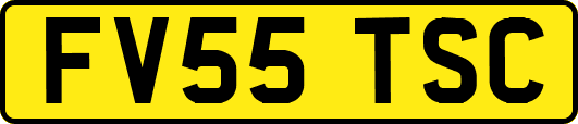 FV55TSC