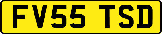 FV55TSD