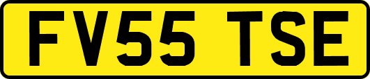 FV55TSE