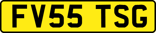 FV55TSG