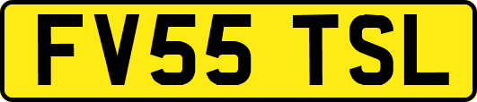FV55TSL