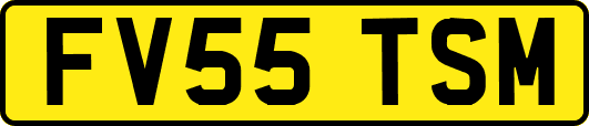 FV55TSM