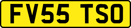 FV55TSO