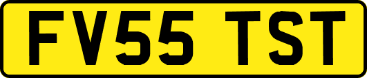 FV55TST