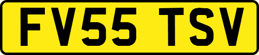FV55TSV