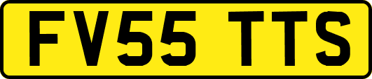 FV55TTS