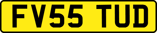 FV55TUD