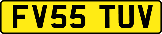 FV55TUV
