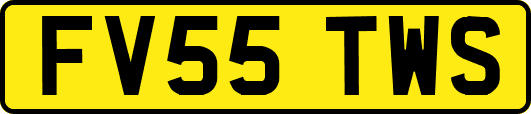 FV55TWS