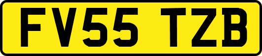 FV55TZB