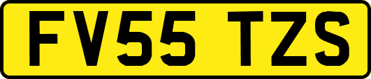 FV55TZS