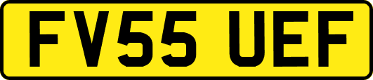 FV55UEF
