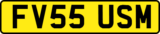 FV55USM