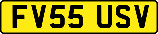 FV55USV