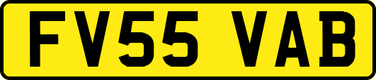 FV55VAB