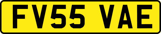 FV55VAE