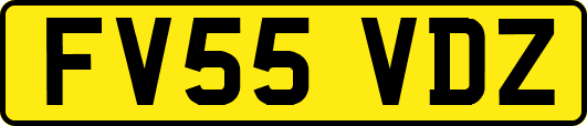 FV55VDZ