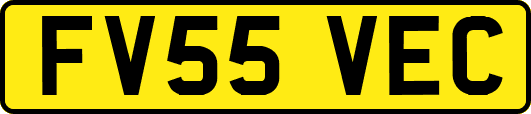 FV55VEC