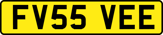 FV55VEE