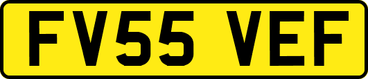 FV55VEF