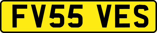 FV55VES