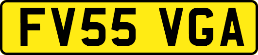 FV55VGA