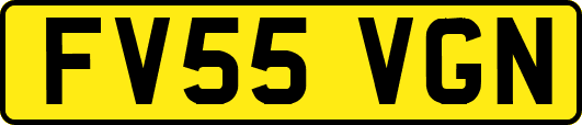 FV55VGN