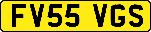 FV55VGS