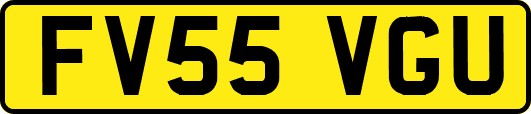 FV55VGU