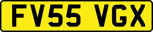 FV55VGX