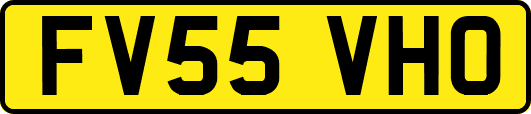 FV55VHO