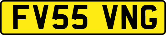 FV55VNG