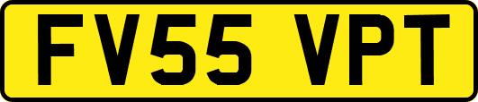 FV55VPT