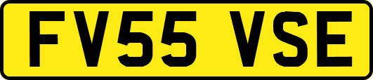 FV55VSE