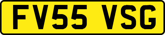 FV55VSG