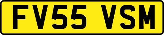 FV55VSM