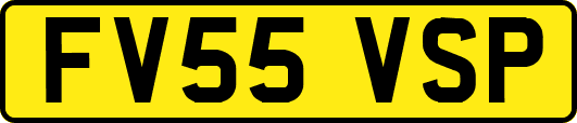 FV55VSP