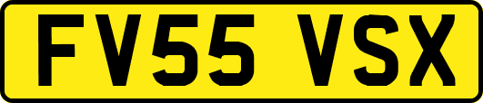 FV55VSX