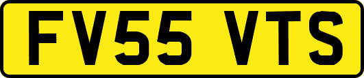 FV55VTS