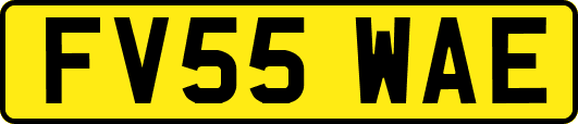FV55WAE