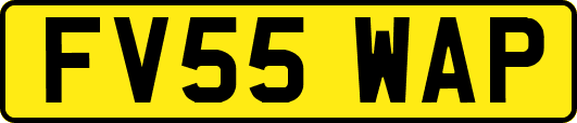 FV55WAP