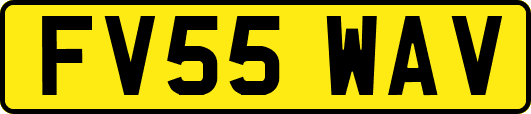 FV55WAV