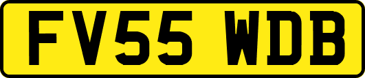 FV55WDB