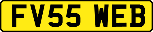FV55WEB