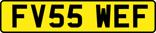 FV55WEF